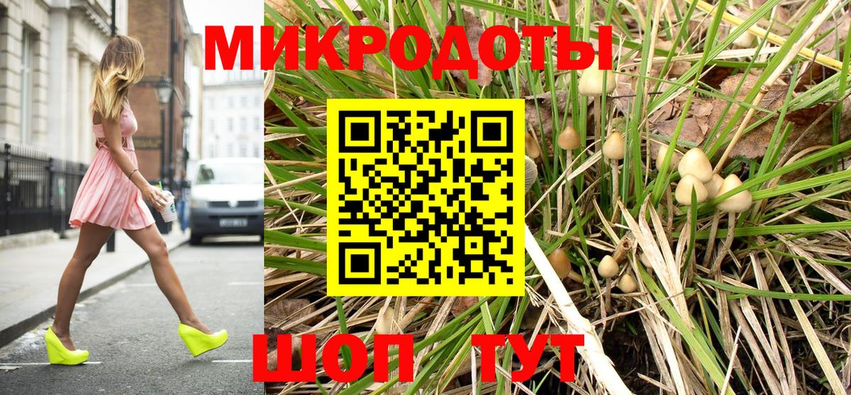 Псилоцибиновые грибы Cubensis Коряжма