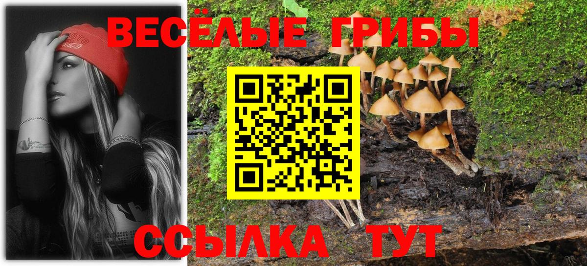 Галлюциногенные грибы мухоморы  Псилоцибиновые грибы мицелий  Коряжма  Вход с VPN 